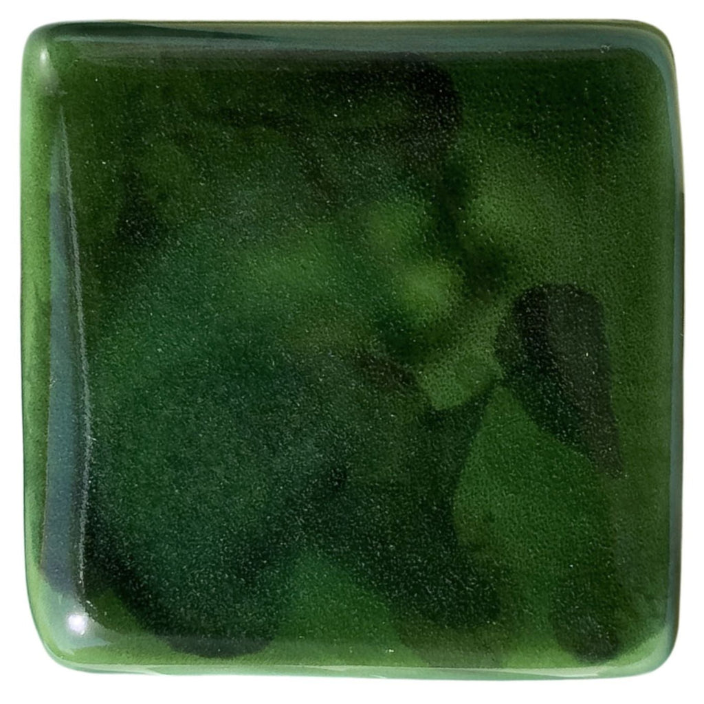 Green Tortoise