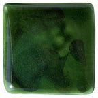 Green Tortoise