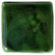 Green Tortoise