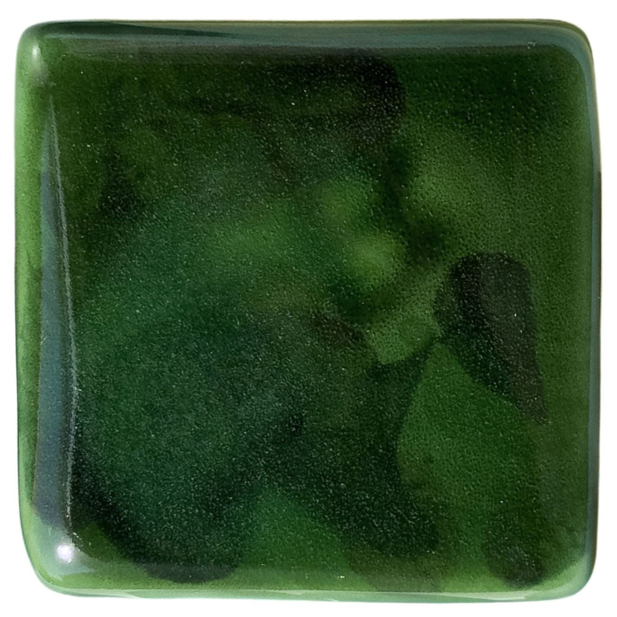 Green Tortoise