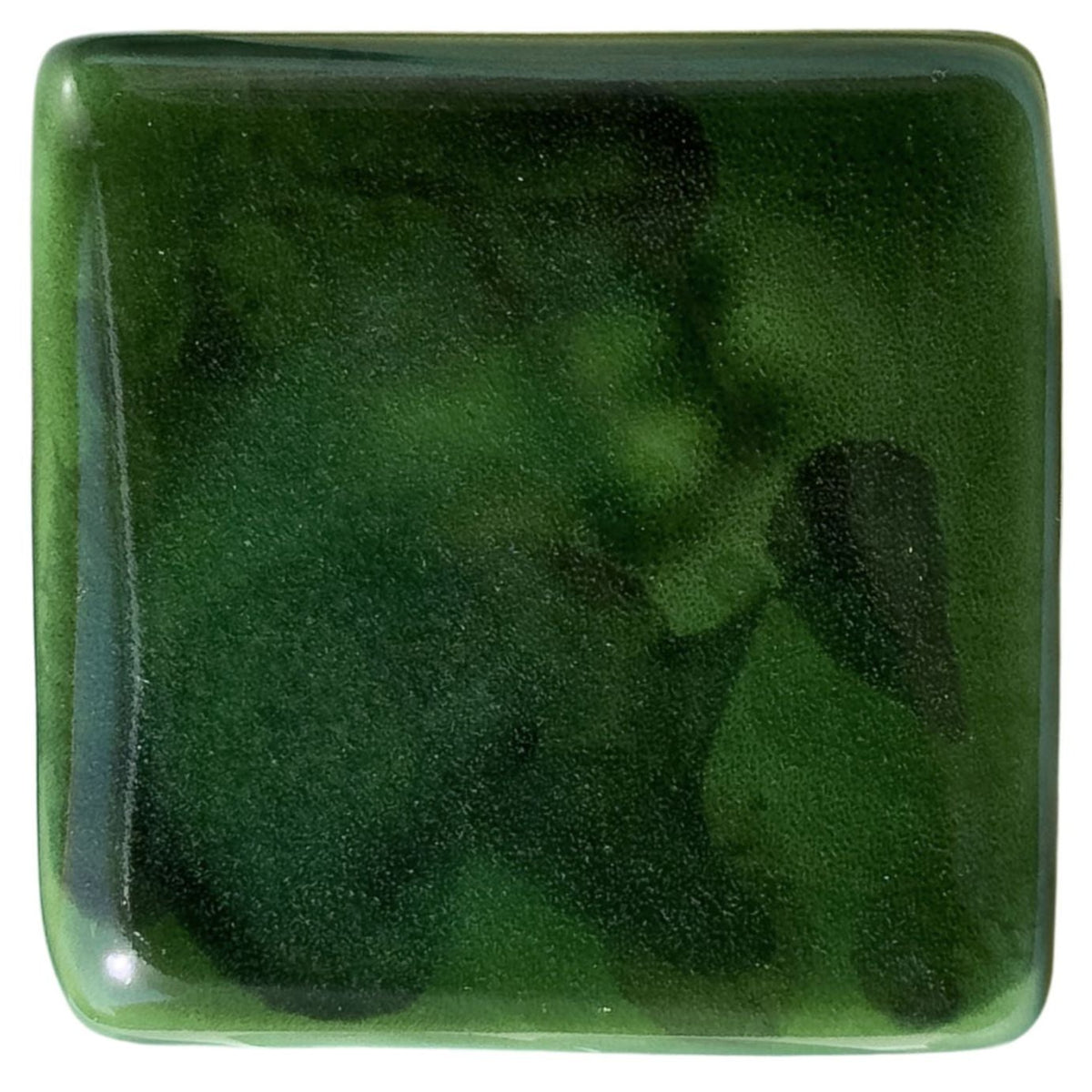 Green Tortoise