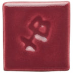 Raspberry