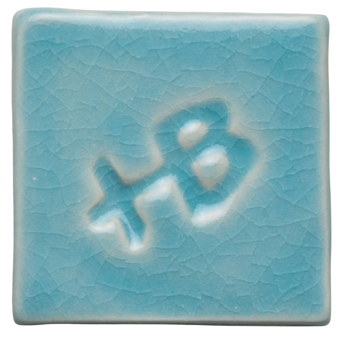 Robin's Egg Blue